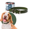 AMIKOO | Collar para Perro | Diseño Artesanal Mexicano |