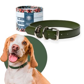AMIKOO | Collar para Perro | Diseño Artesanal Mexicano | Hecho de Piel Vegana | Compra con Causa | Accesorios para Perros | Cruelty Free | Verde | Talla S