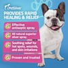 PetSilver Wound & Skin Spray - Dog Wound Spray, Hot