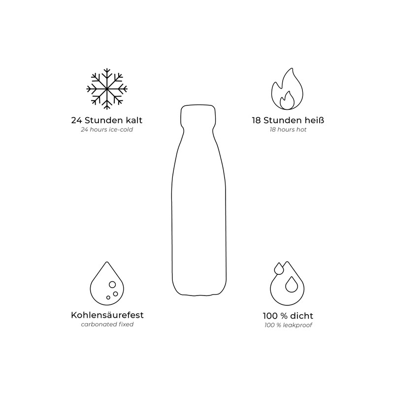 FLSK Stainless Steel Drinking Bottle, Suitable for Carbonic Acid, Insulated