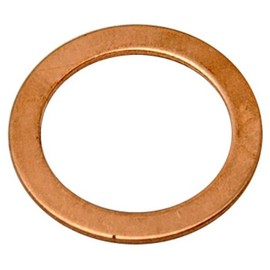 Raybestos G1246 Professional Grade Banjo Bolt Washer, (Pack of 10)