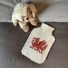 'Welsh Red Dragon' Hot Water Bottle Cover (HW00036725)