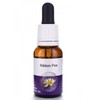Living Essences Ribbon Pea 50ml