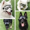 Gafas de Sol para Perro, Transparente, Ajustables | Perros Medianos
