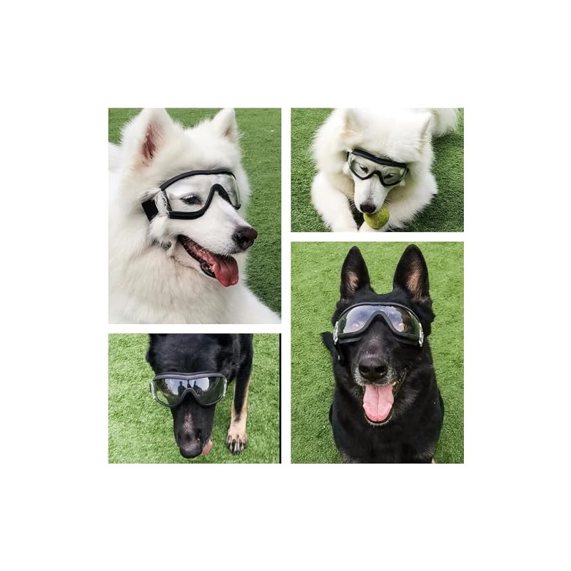Gafas de Sol para Perro, Transparente, Ajustables | Perros Medianos