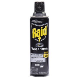 Raid Wasp Hornet Killer Spray 14 Ounce (Pack of 2)