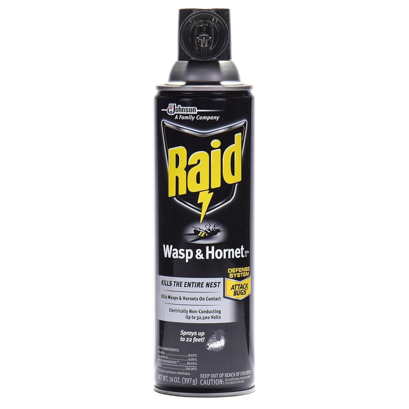 Raid Wasp Hornet Killer Spray 14 Ounce (Pack of 2)