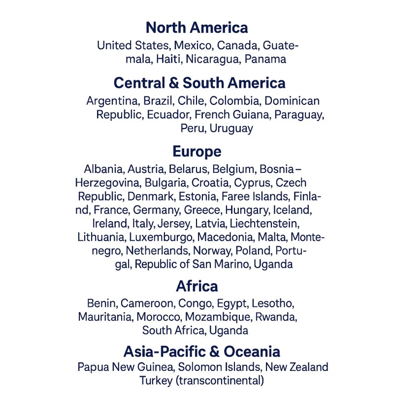 Global-PTT RadioUp.us - 1 Year IoT SIM | 3 Major