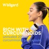 Turmeric Capsules High Strength by Wellgard, Turmeric 95, Curcumin, Made