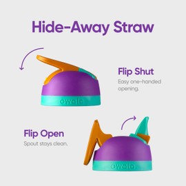 Owala Flip Insulated Stainless Steel Water Bottle with Built-in Straw, 710 ml, Smooshed Blueberry