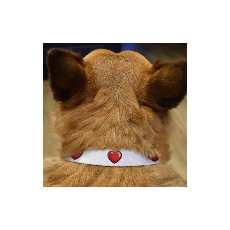 Small 'Valentine's Heart' Dog Collar (PR00062189)