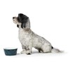 HUNTER EIBY Ceramic Bowl, Feeding and Drinking Bowl, Non-Slip, 550