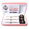 CUESOUL Dragon Deluxe Soft Tip Dart Set, 16g (B1108)