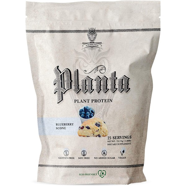Ambrosia Planta - Premium Organic Plant-Based Protein | Vegan & Keto Friendly | Gourmet Flavors with No Bloating or Stomach Upset | Gluten & Soy Free | No Added Sugar | 25 Servings | Blueberry Scone