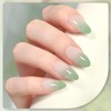 GAOY Jelly Gel Nail Polish, 16ml Sheer Green Translucent Soak