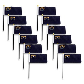 Nevada Flag 4 x 6 inch (12 PK)