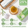 LeafLea Lemongrass Tea Bags, 40 Count, 100% Natural Lemongrass Leaves,