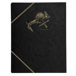 Clairefontaine 102514C Flying Spirit Portfolio Folder with 3 Flaps for DIN A4+, 24 x 32 cm, Cardboard Envelope, Pack of 1, Black with Assorted Designs