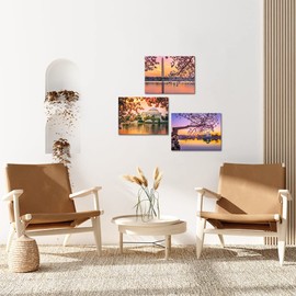 VANSEEING 3 Pieces Canvas Wall Art Cherry Blossoms Festival at National Mall Washington DC Pictures Artwork Jefferson Memorial Landscape Painting Prints for Home Living Room 12x16inchx3pcs