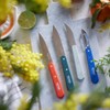 Opinel Les Essentials Small Kitchen 4 Piece Knife Set -