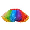 Womens Rainbow Plus Size Puffy Tutu Layered Tulle Petticoat Skirt