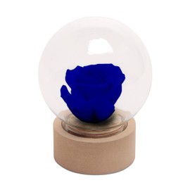 ROSEMARIE SCHULZ Heidelberg Small Rose in Glass Eternal Flower Blue Real Durable Rose with Glass Dome Round (Small, Blue)