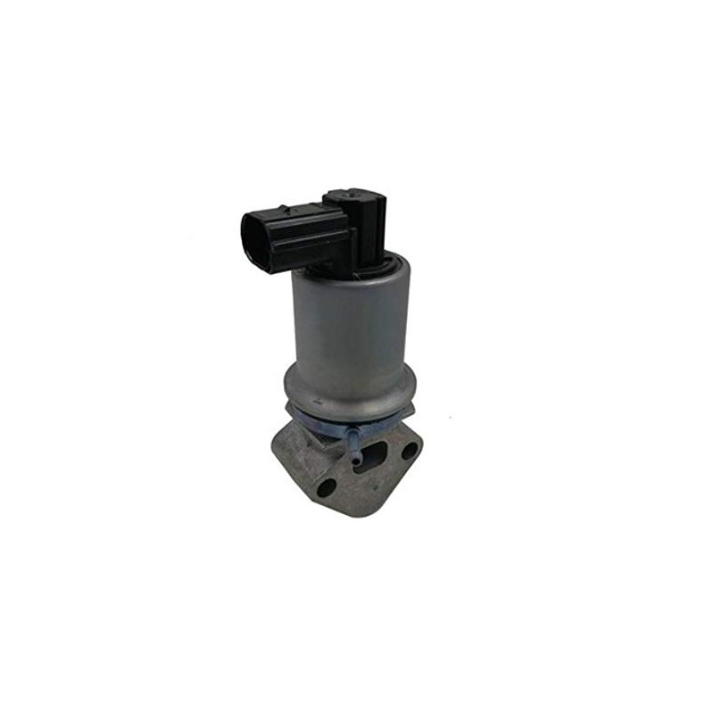 Magneti Marelli 571822112071 EGR Valve