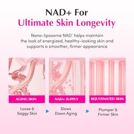 EQQUALBERRY NAD+ Peptide Boosting Serum & Cream Duo | Pink Cream for Anti-Aging, Firming & Lifting, Jawline, Neck, Décolleté | Korean Skin Care