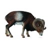 CollectA European Mouflon