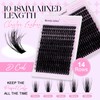 Lash Clusters 80D Wispy Individual Lashes 280PCS 3D Volume Lash