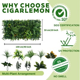 Artificial Green Wall Panels 20"x40", UV-Protected Faux Grass Wall Backdrop for Indoor Outdoor Privacy Fence, Garden, Wedding & Home Decor - Sunset Vine, 2 Pack