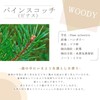 Rose Absolute 2ml e-aroma Essential Oil Essential Oil Aroma Oil