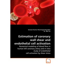 Estimation of coronary wall shear and endothelial cell activation: Numerical modeling of blood flow in human left coronary artery and in vitro study of endothelial cell activation by shear stress