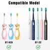 Dada-Tech Electric Toothbrush Replacement Heads for DT-22 - Pack of