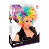 Rainbow Punk Wig - Adult Fancy Dress Accessory