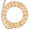 Wintergreen Lighting 18' LED Warm White Rope Light, LED Flexible