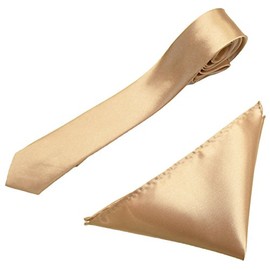 Caprilite Mens Neck Tie and Pocket Square Handkerchief Set Hanky Wedding Skinny Champage Gold