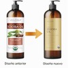 JOJOBA Oil Golden Organic Carrier UNREFINED Cold Pressed RAW Virgin