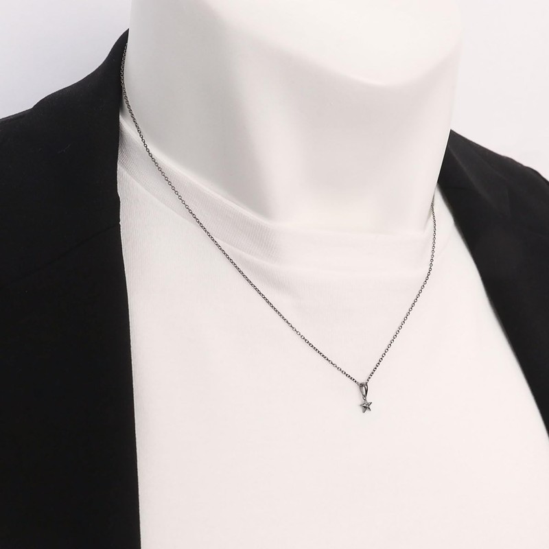 Laracristy sv925 Charm Stella Star Women's Men's Silver Pendant Necklace,