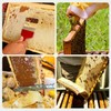 POLLIBEE 35Pcs Beekeeping Supplies Starter Kit with Bee Suit,Smoker &