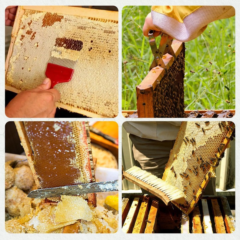 POLLIBEE 35Pcs Beekeeping Supplies Starter Kit with Bee Suit,Smoker &