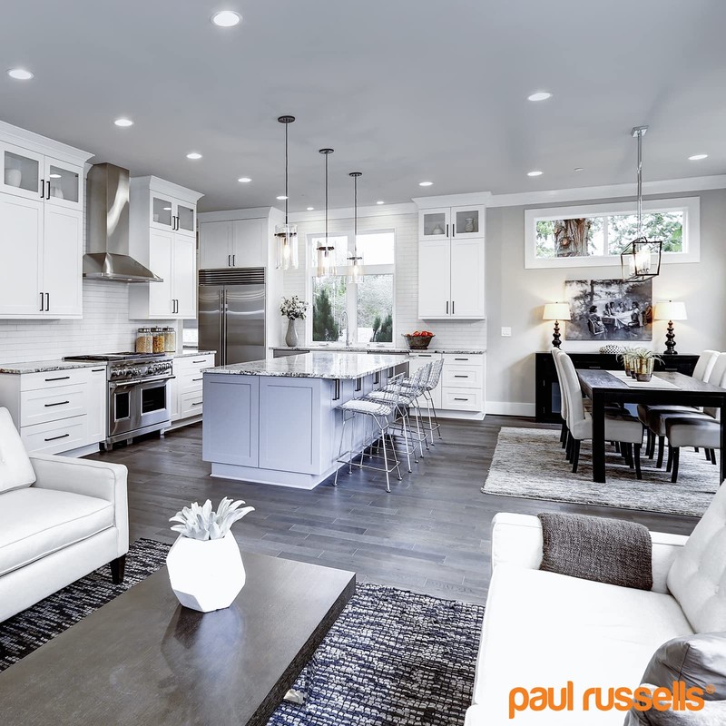 paul russells LED Ceiling Downlights, 4W Slim Recessed Bathroom Downlights,