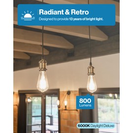 Sunco 30 Pack Edison Bulbs LED ST64, Clear Vintage Filament Waterproof Bulb, 800 LM, 8W (60W Equivalent), 6000K Daylight Deluxe, E26 Medium Base, Decorative Dimmable UL