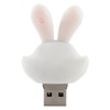 Cartoon USB Flash Drive 2.0 Pendrive Rabbit Doll Portable Memory