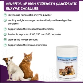 Pancreatic Digestive Enzyme Capsules for Dogs & Cats - Amylase and Lipase Health Supplement for Dog & Cat | 100 Capsules