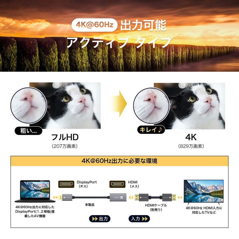 IVANKY Displayport HDMI Converter Connector 4K@60Hz /20cm Black