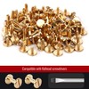 Chicago Binding Screws - 4 mm x 8 mm Binding