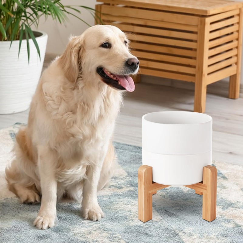 LOPYXBR 850 ML/28 OZ Ceramic Dog Bowls with Stand Set