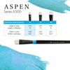Princeton Artist Brush Co. Aspen Series 6500 - Long Handled