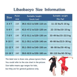Girls Tassel Latin Outfit Long Sleeve Irregular Salsa Performance Ballroom Dance Dress (9 Years, Red)